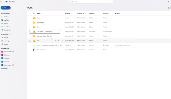 2024-12-20 18_08_55-OneDrive and 10 more pages - WeAudit - Microsoft Edge